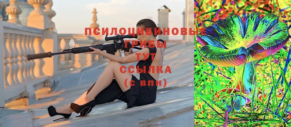 спайс Гусь-Хрустальный