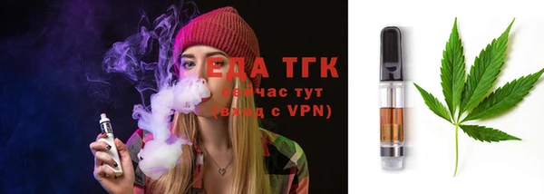 тгк Гусев