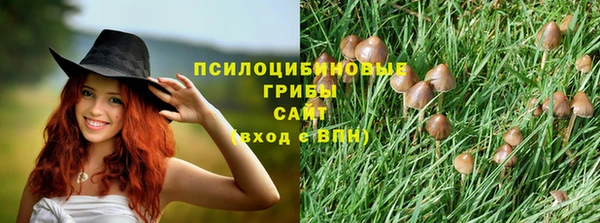 тгк Гусев