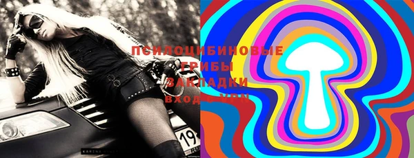 тгк Гусев