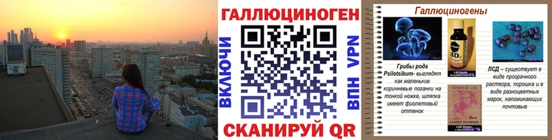 Купить  Каргополь  Псилоцибиновые грибы Cubensis 