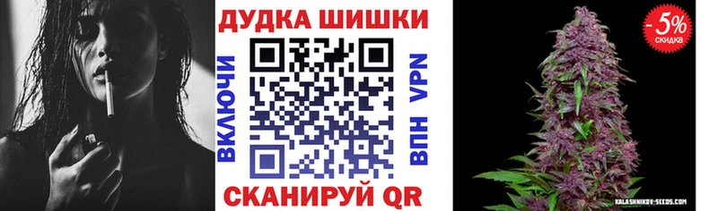 Купить закладки  Каргополь  Конопля AK-47 